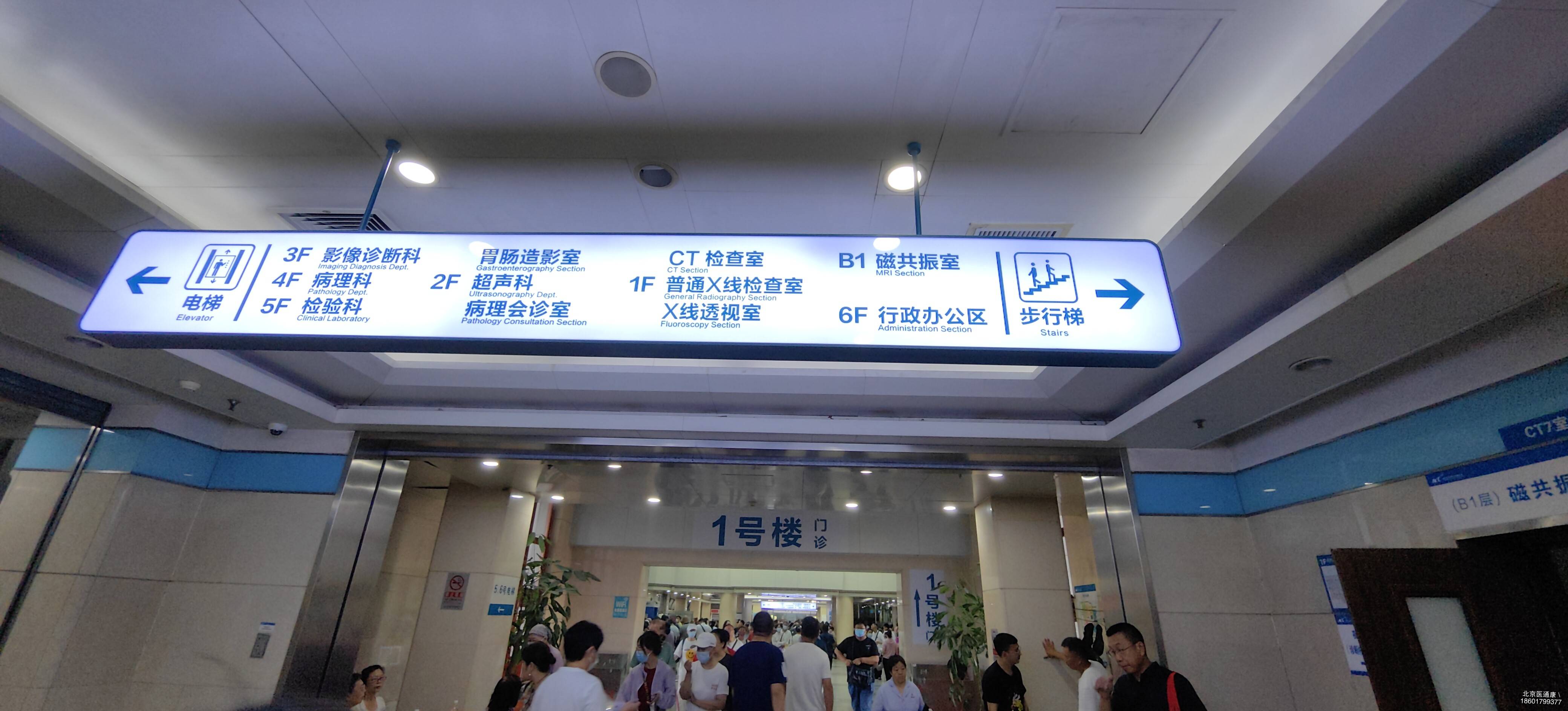 关于北京陪诊服务收费	全程透明收费号贩子代挂号，提前预约很靠谱的信息