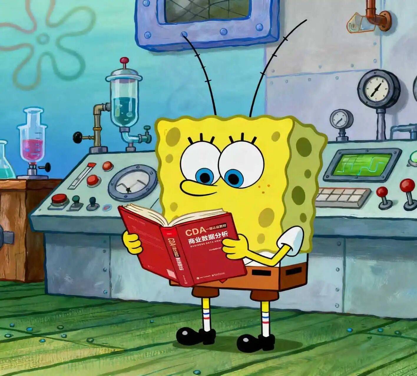 2026中专计算机专业：入门岗位与晋升规划