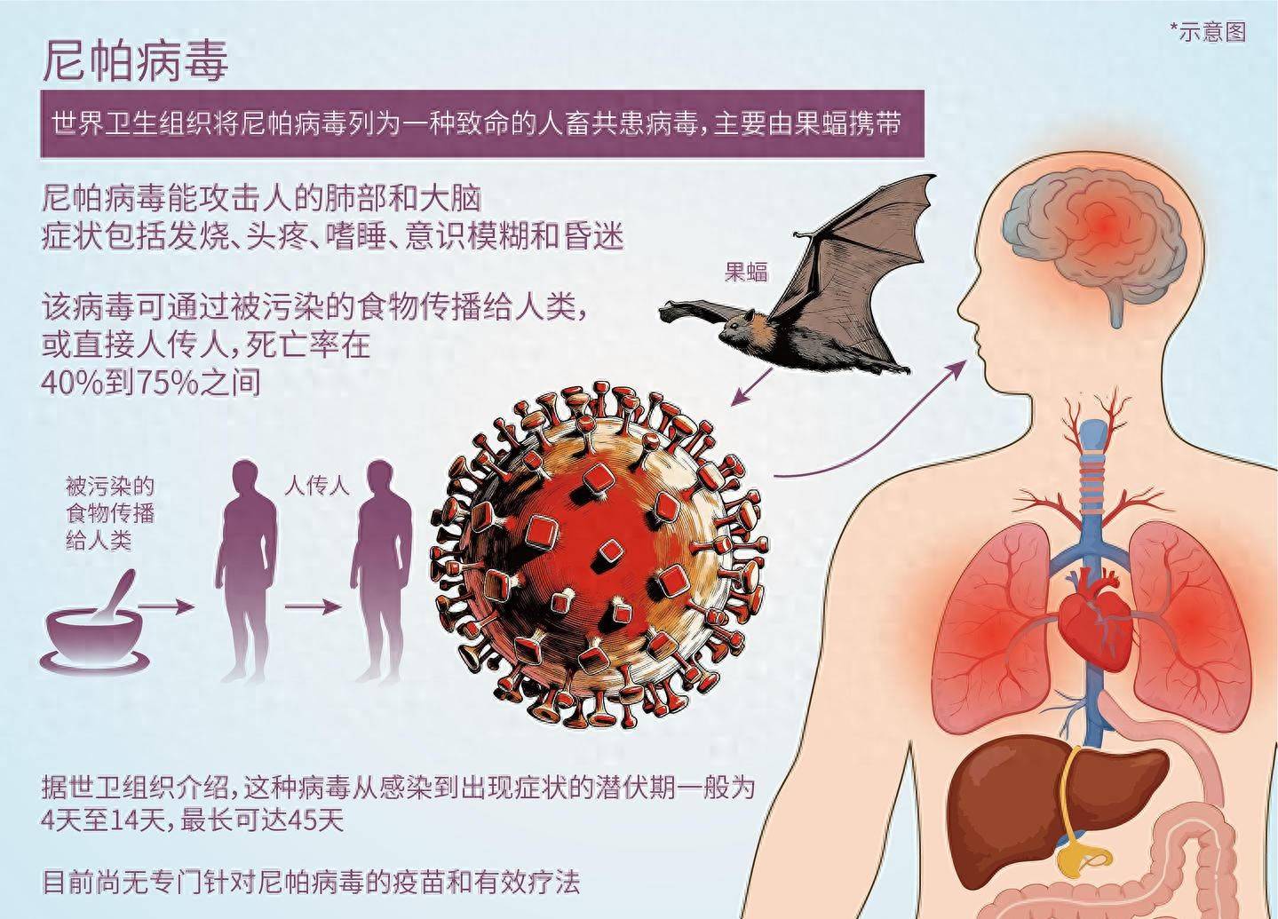  最近发生关于病毒的事件(最近发生关于病毒的事件视频)