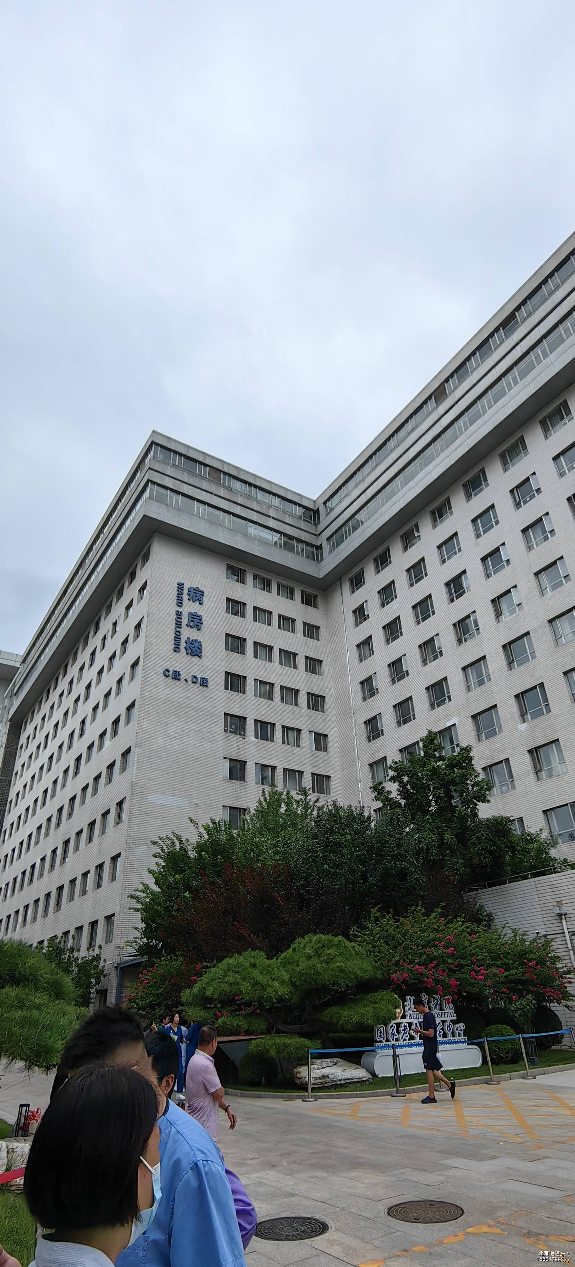 包含同仁医院预约检查陪诊挂号来京就医食宿规划，省心省事的词条