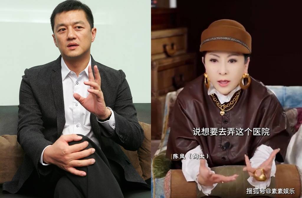 原创            向太讲王菲做慈善细节：请不要逼她开演唱会，不要道德绑架她
