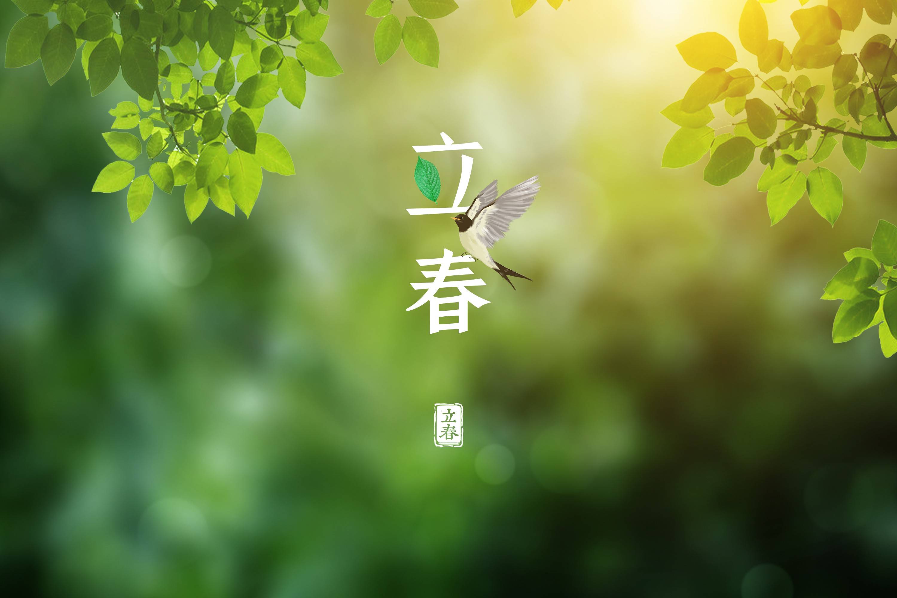 原创            立春将至，多给家人吃6种“养肝菜”，疏肝润燥，为开春打好基础