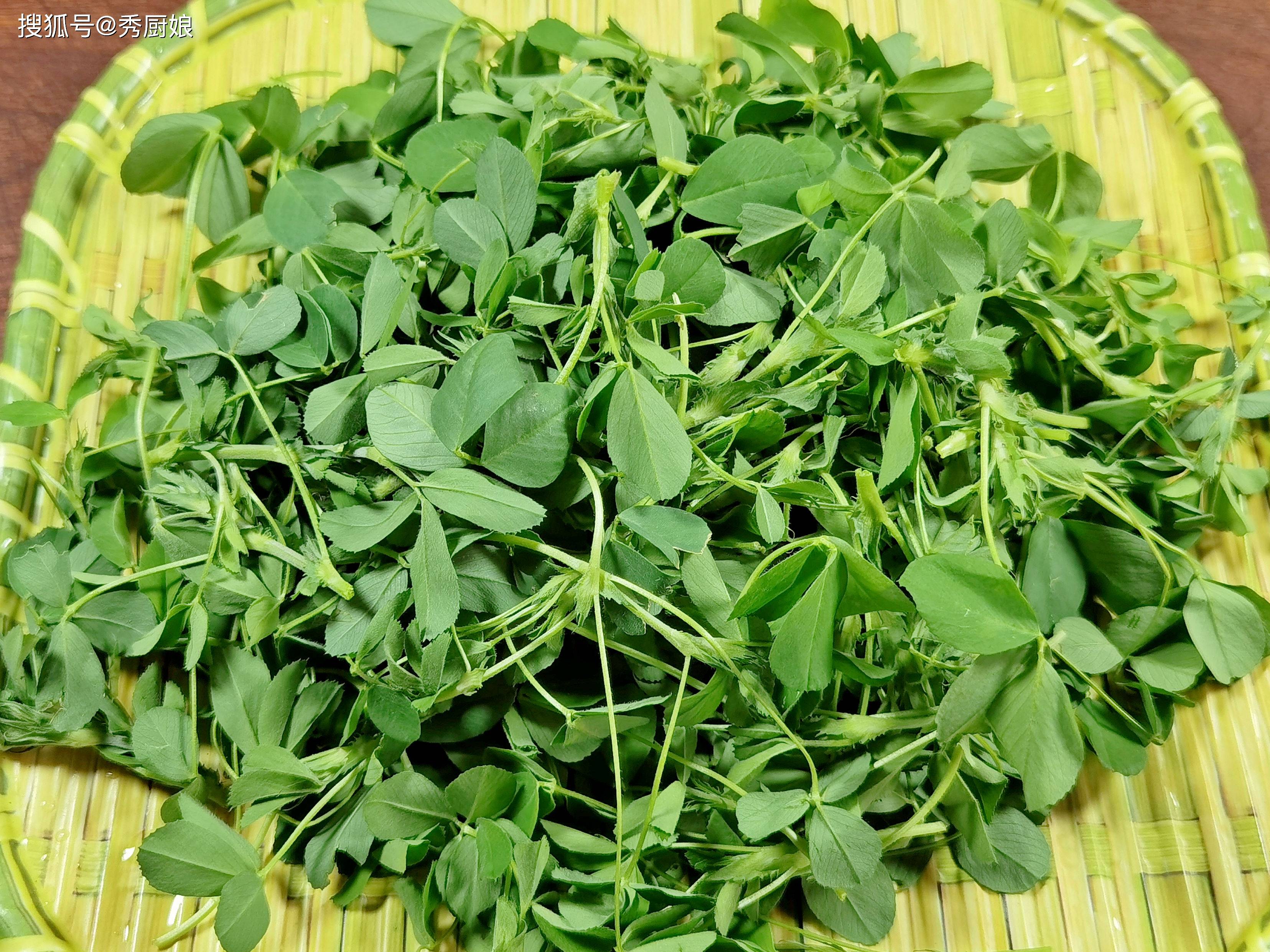 原创            立春后，使劲吃这菜，一养肝，二降火，三健脾胃，四强免疫，鲜嫩营养正当季，别不懂吃！