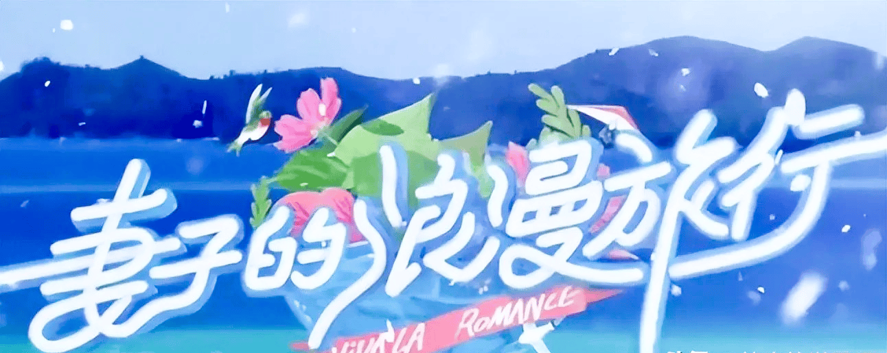 原创            《妻子的浪漫旅行 2026》官宣阵容！四对伴侣涵盖多元爱情样本