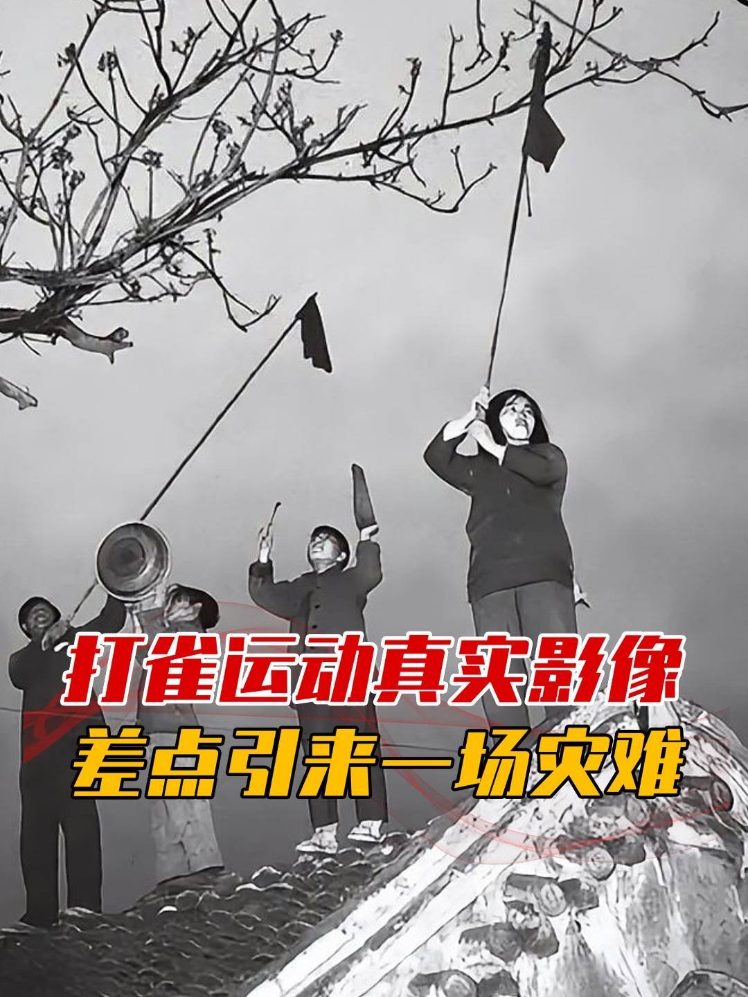 1958年“除四害”打麻雀影像，捕杀超2亿只，竟差点引来灭顶之灾