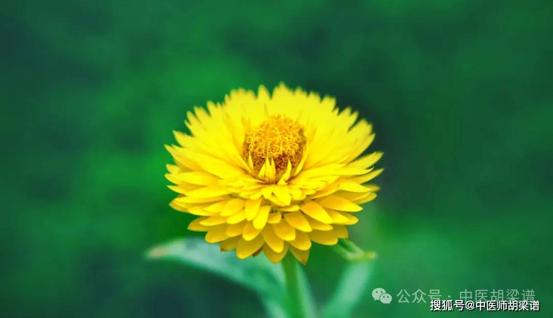 牛皮癣总是反复发作，如何是好？