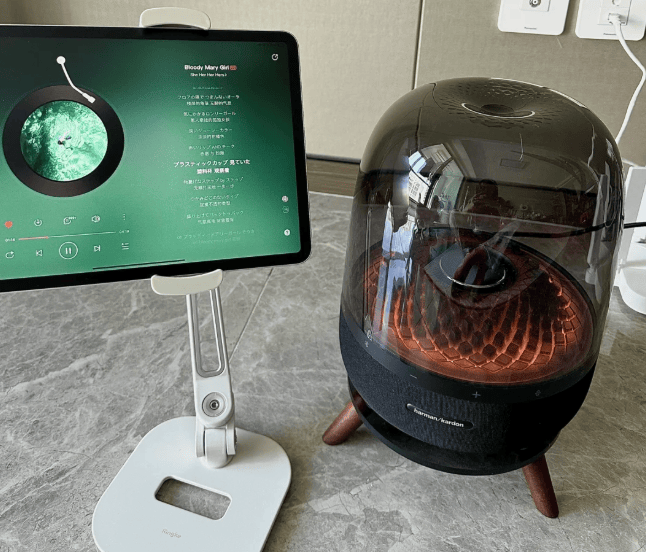 蓝牙音箱哪个牌子音质最好？2026年国产口碑最好十大音响品牌，都是国际大牌！