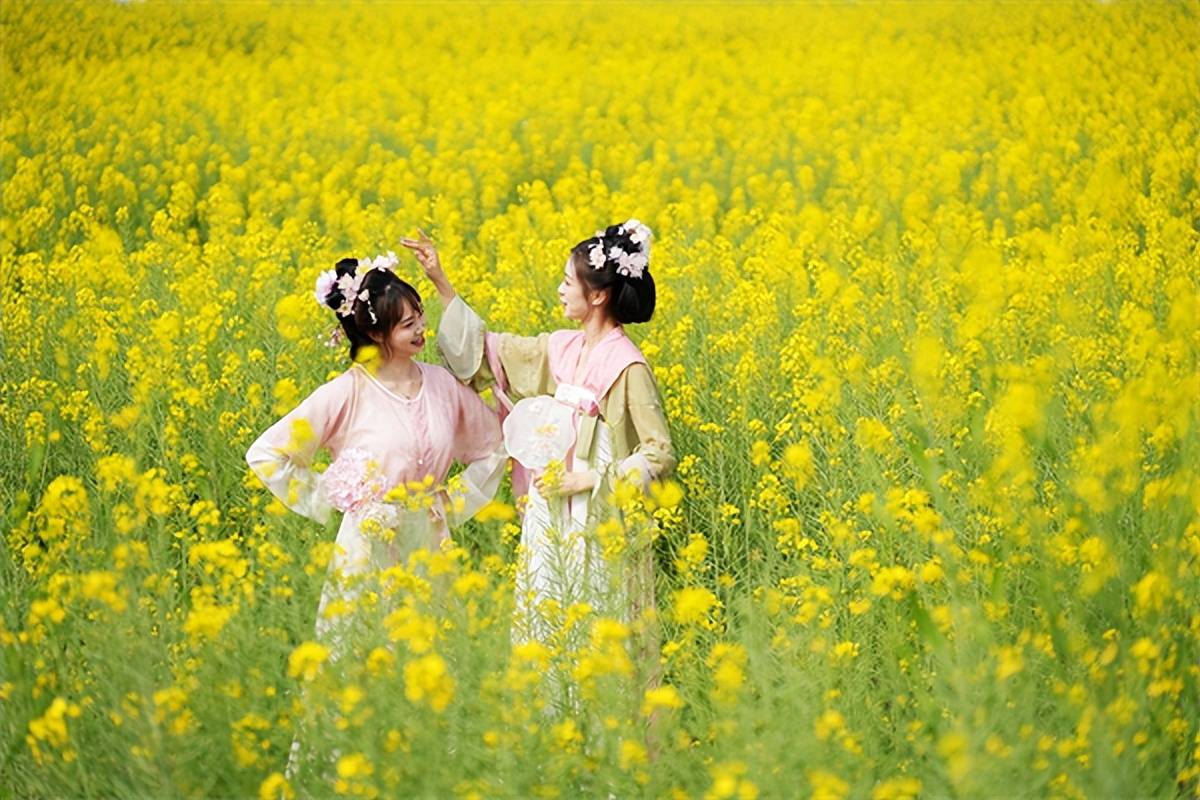 新华视点|春日盛景赋能“花经济” 文旅融合焕发新活力