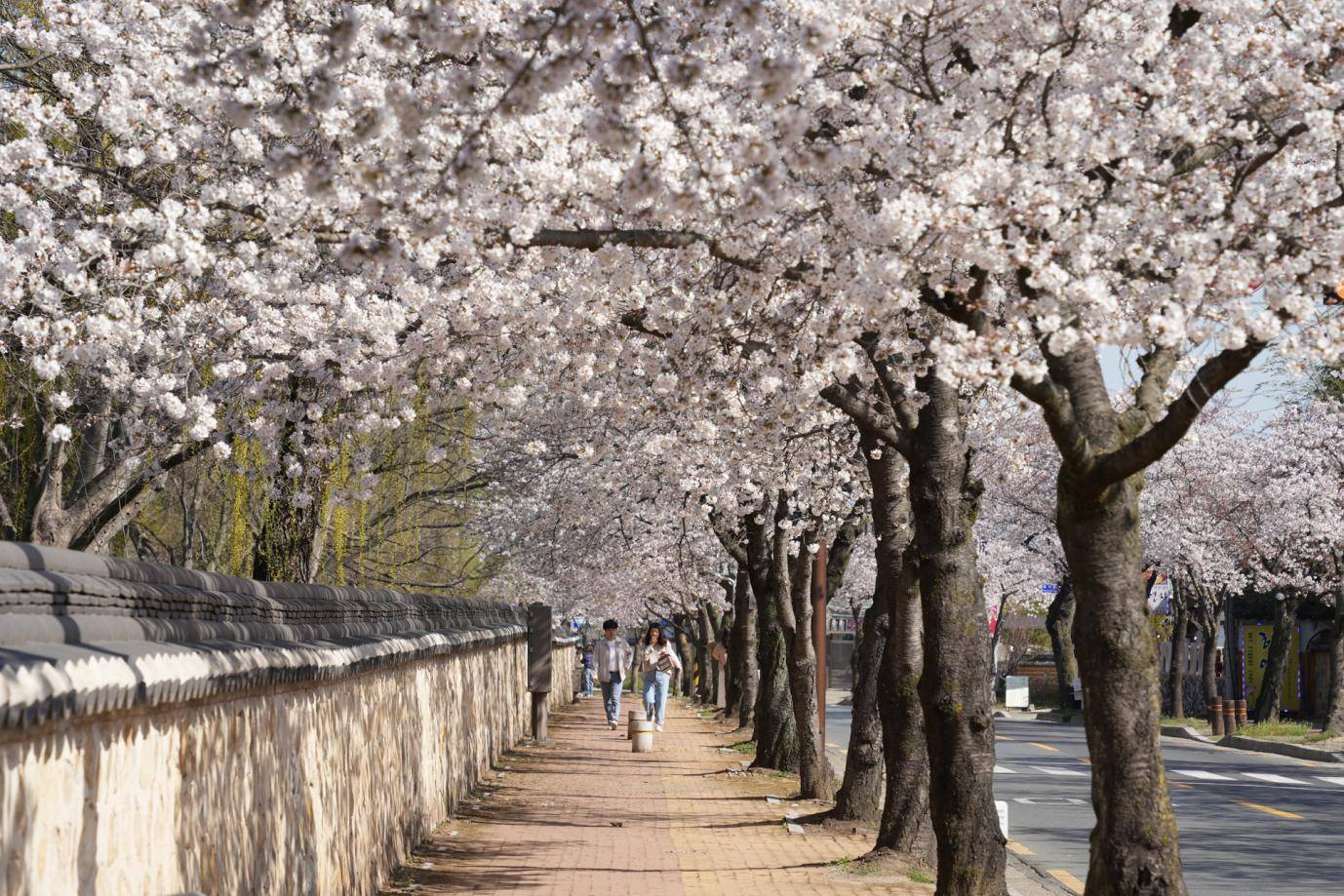 “2026自游FUN韩-乐无限”, 韩国旅游发展局携手中韩业者深耕华南市场(图3)