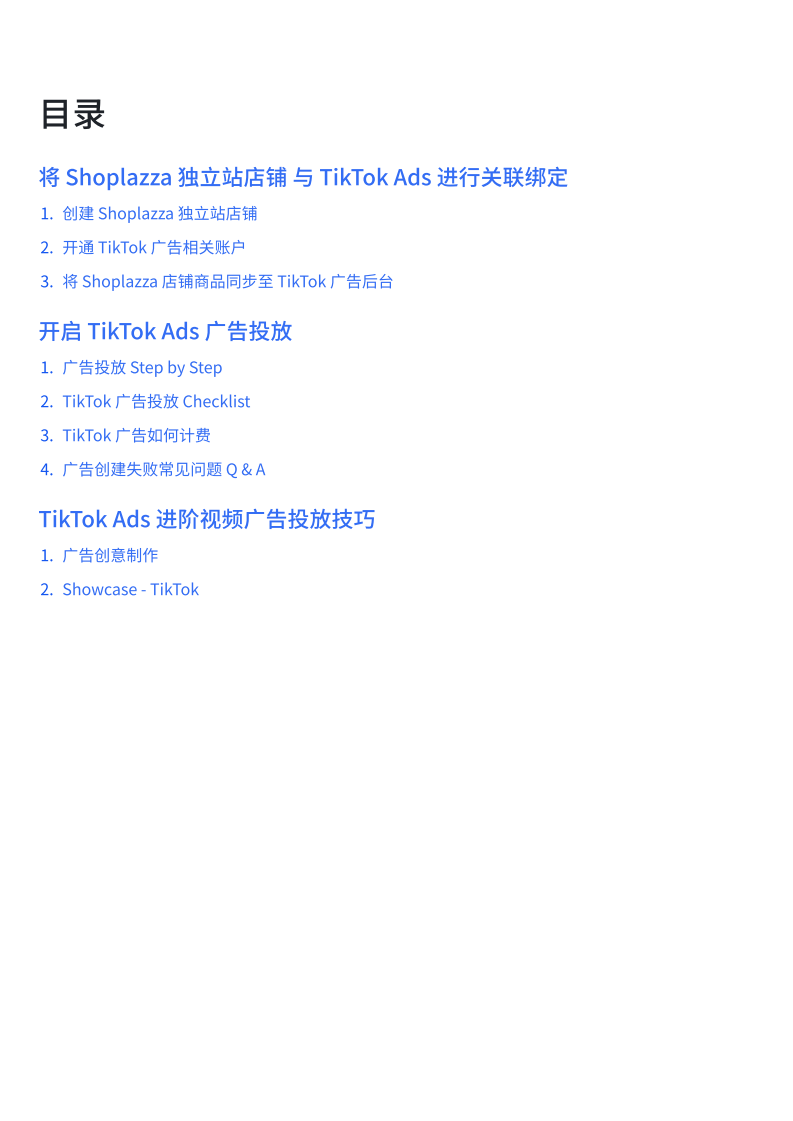 2025年独立站+TikTok Ads实践指南