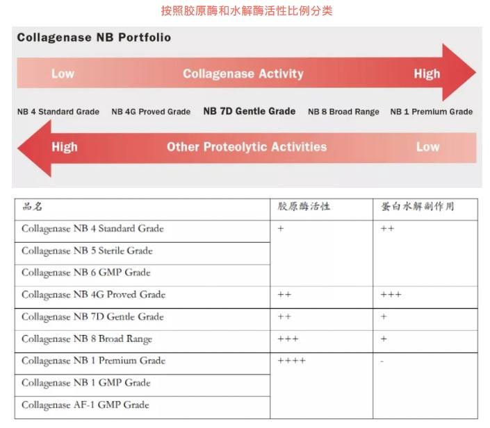 Nordmark胶原酶与中性蛋白酶应用分类