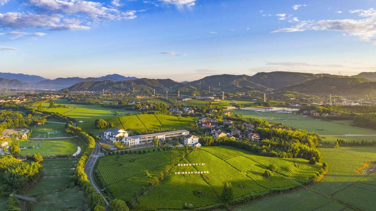 共富之约：浙江生动作答，解码共富密码