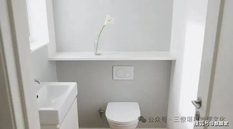 茅厕9 (1).jpg