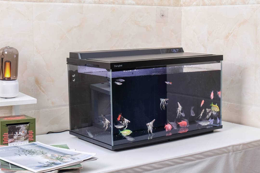 当贝智能鱼缸2S Ultra体验：真正让懒人也能养好鱼的“终点站”