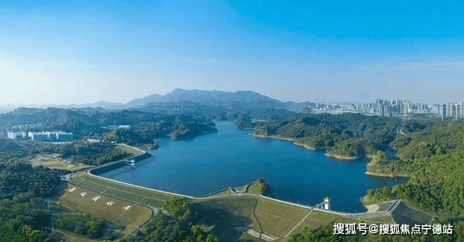办公楼绿植租赁价格表