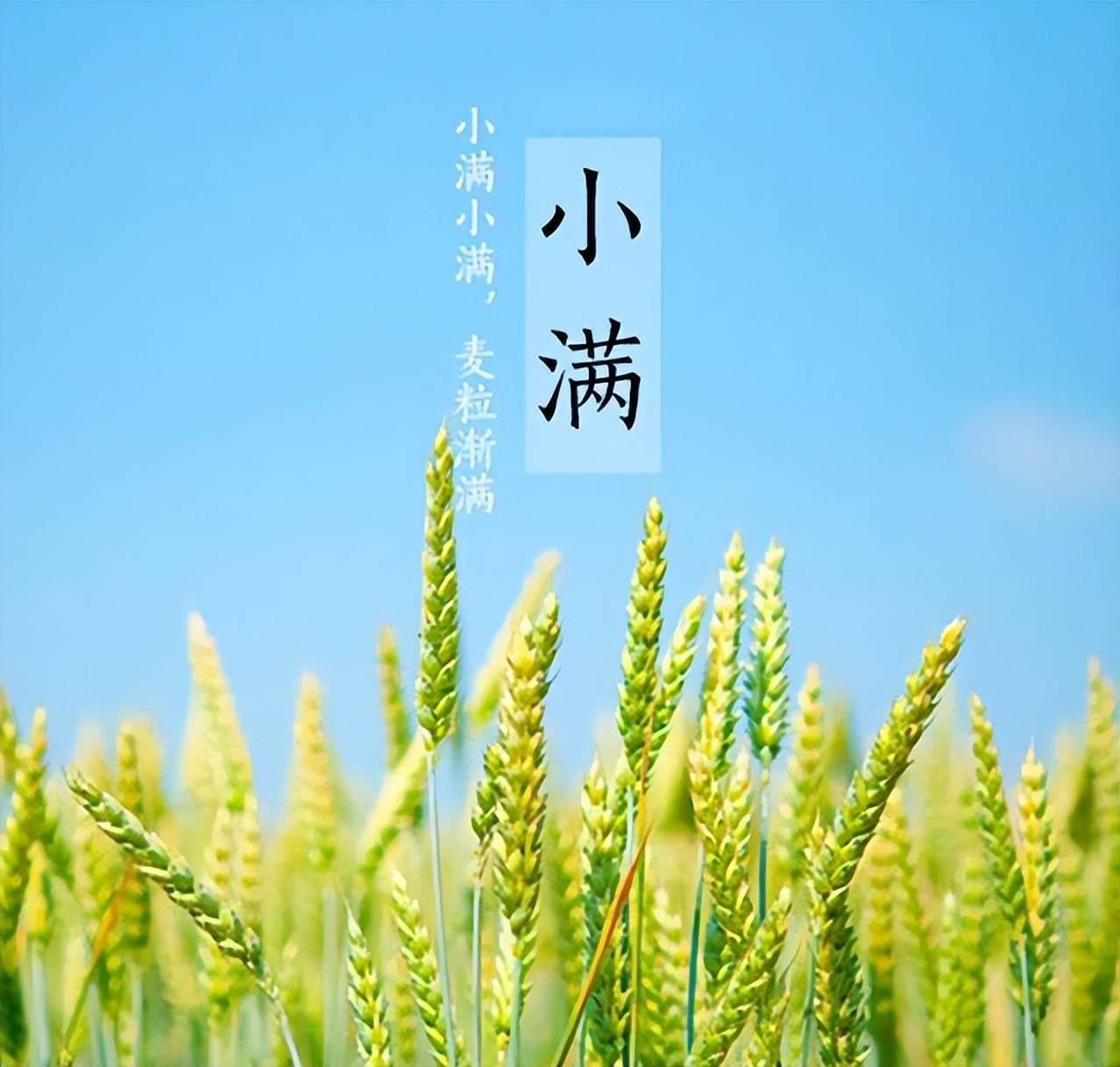 原创            "小满五不吃，疾病不沾身"，明日小满，哪5样不能吃？要懂得忌口
