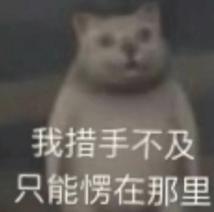 文章配图-3