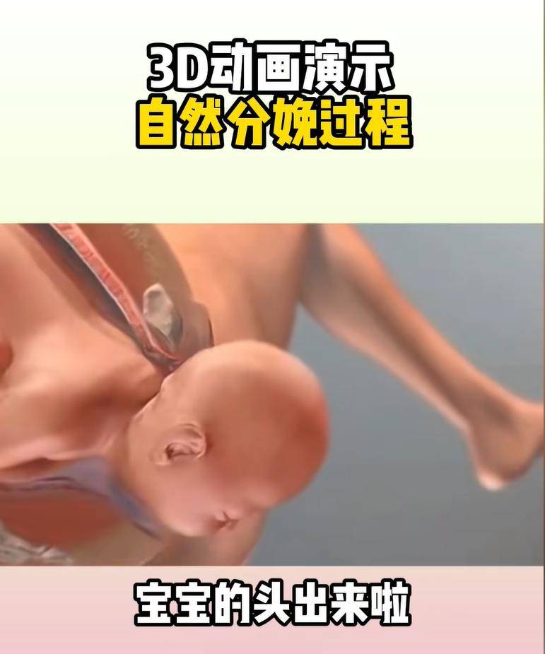 怀孕十月胎儿发育过程图,感叹生命如此神奇