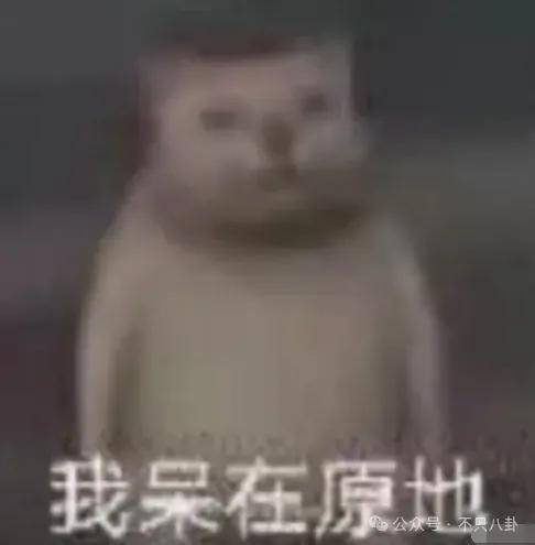 文章配图-2