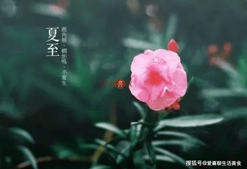 原创            明日夏至，老传统要补夏，别忘了吃夏至6宝，应季而食、顺利入伏！