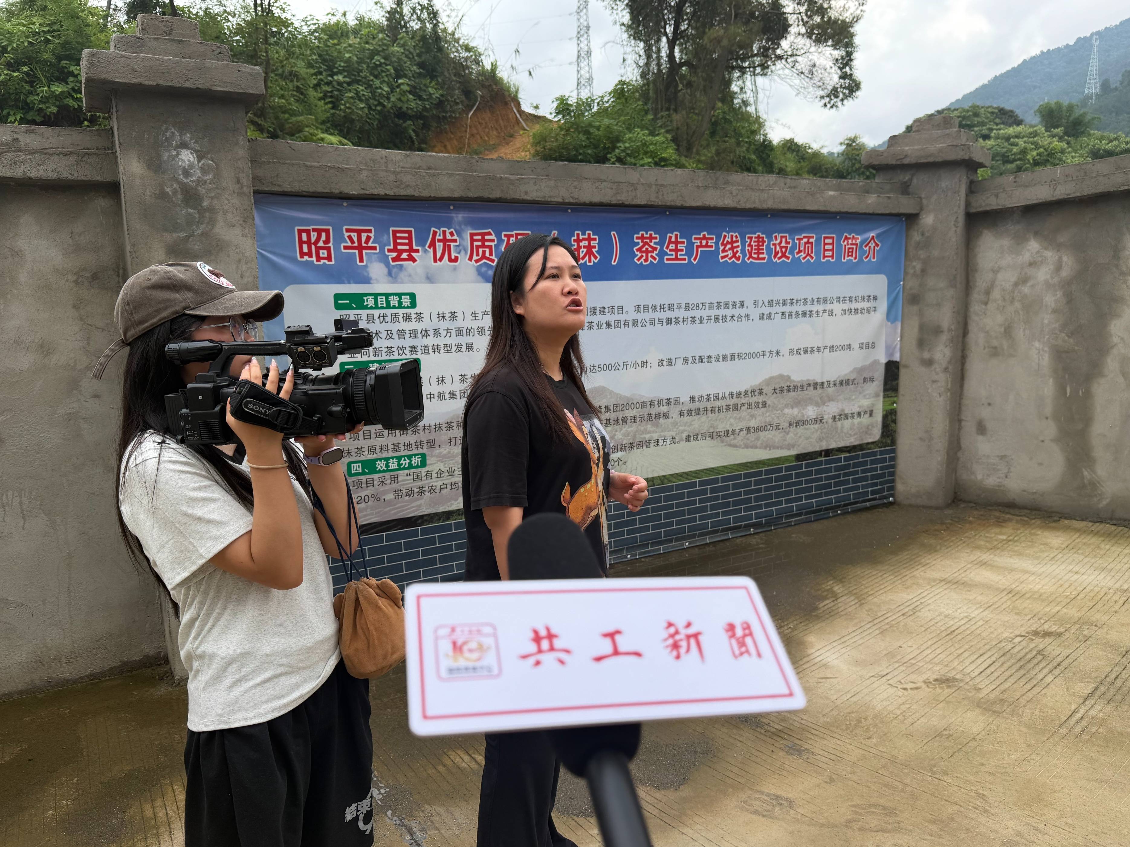 海外华文媒体走进广西贺州:探访“一片叶子”的科技与共富之路(图3)