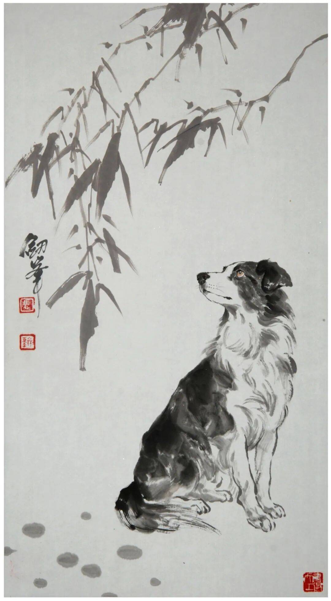 文章配图-30