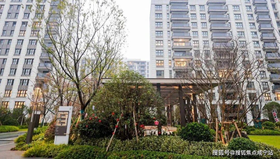 浦东中企云萃森林楼盘为什么突然火了?2026浦东中企云萃森林官方好房深度解读买房人关注原因!浦东中企云萃森林热销真相揭秘!_品质_认证_市场