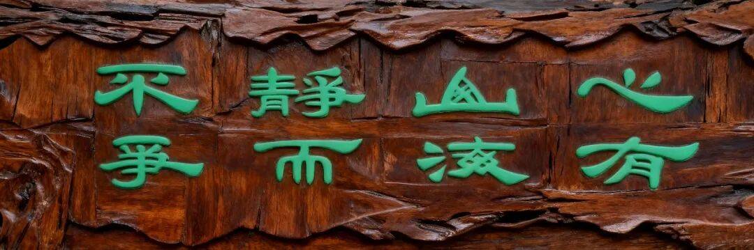文章配图-3