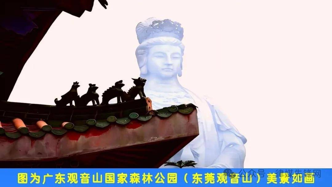 文章配图-2
