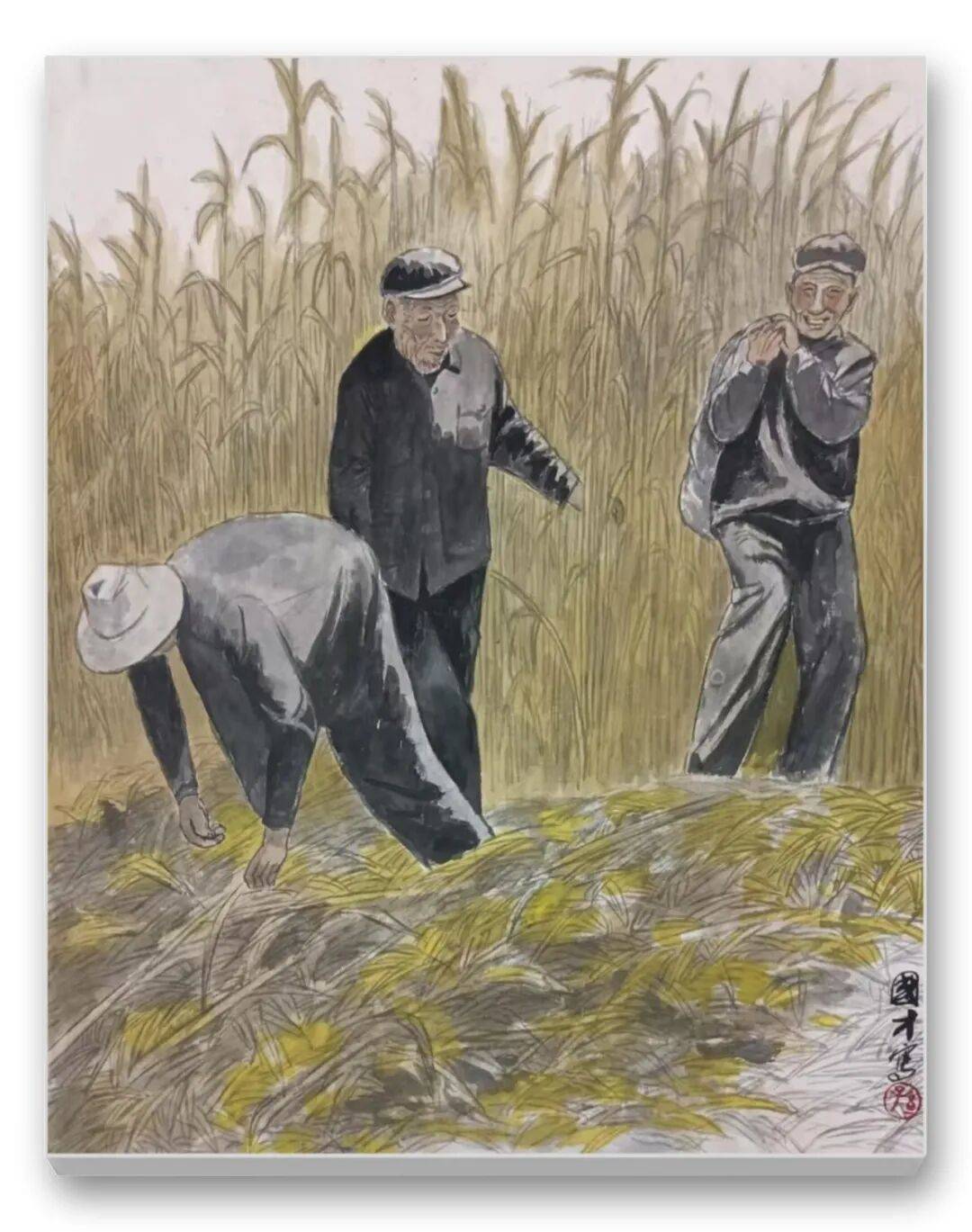 文章配图-3