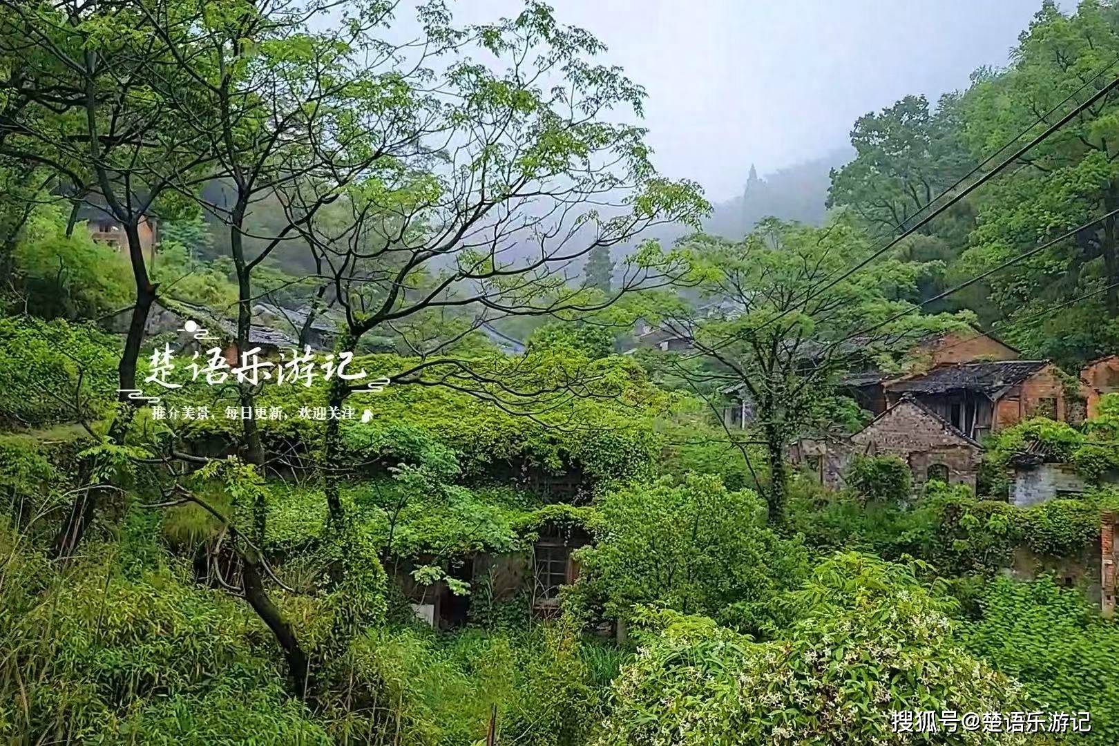 藏在宁波深山的古村落，烟雨之中犹如天然油画，江南氛围感拉满