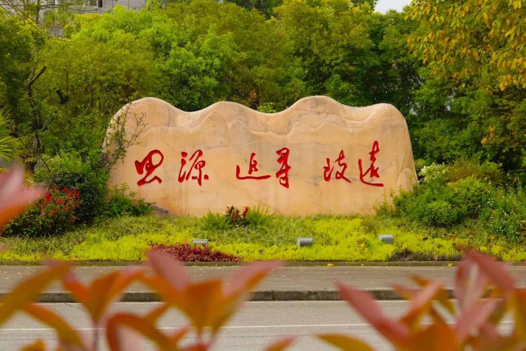 文章配图-4