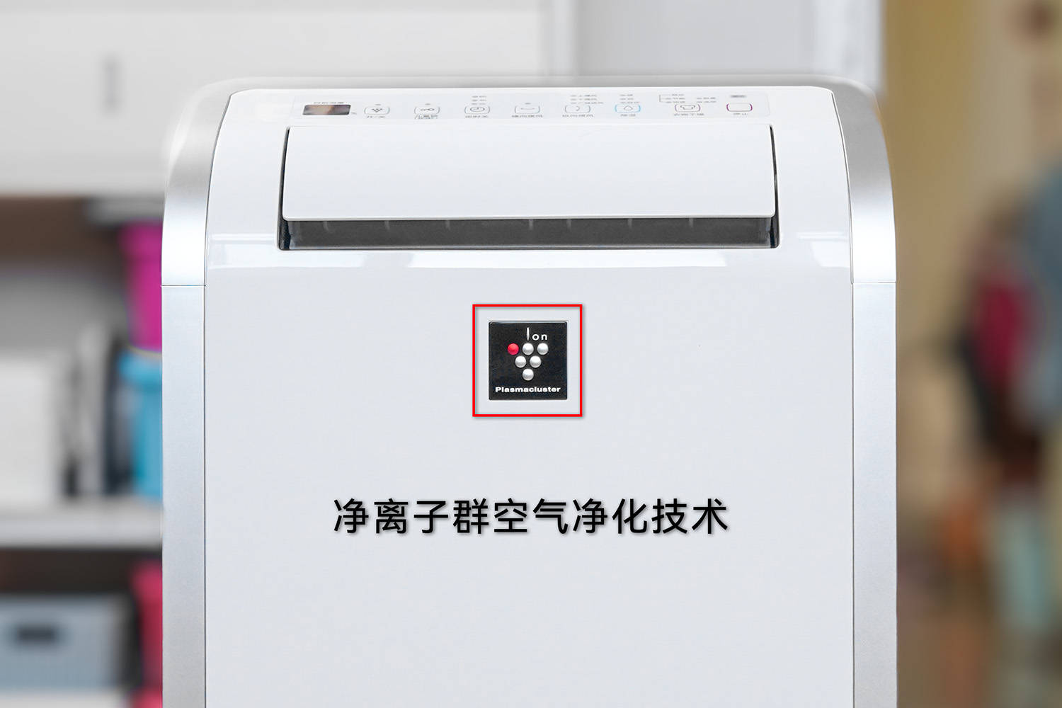 文章配图-3