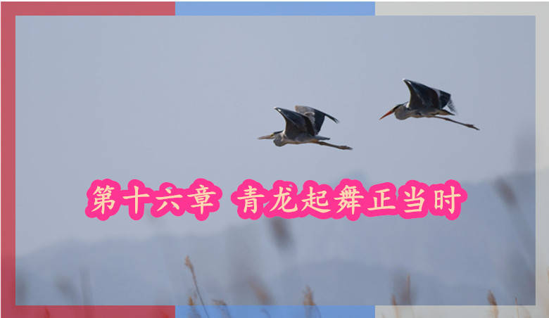 文章配图-2