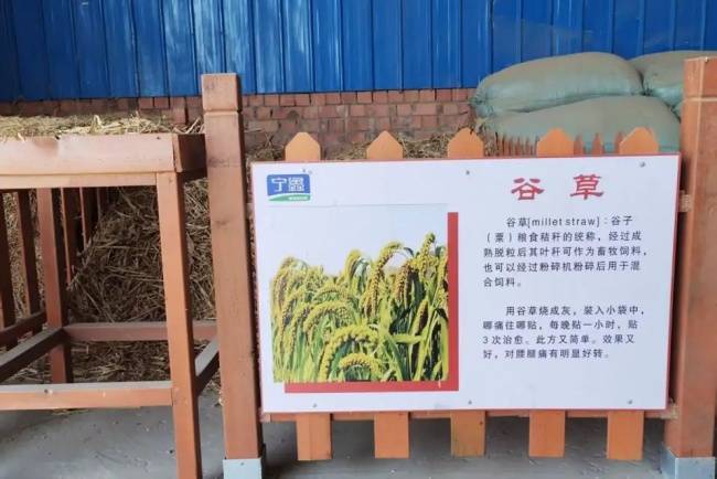 沪宁携手深化产业对接 上海考察团莅临盐池鑫海集团考察调研并达成合作共识(图7) 沪宁携手深化产业对接 上海考察团莅临盐池鑫海集团考察调研并达成合作共识(图7)