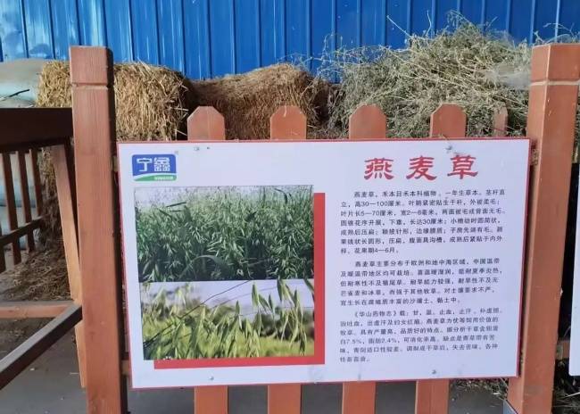 沪宁携手深化产业对接 上海考察团莅临盐池鑫海集团考察调研并达成合作共识(图8) 沪宁携手深化产业对接 上海考察团莅临盐池鑫海集团考察调研并达成合作共识(图8)
