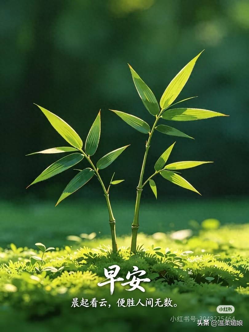 原创            两性关系：别不信，寿命比较长的男性，基本都有这9个习惯