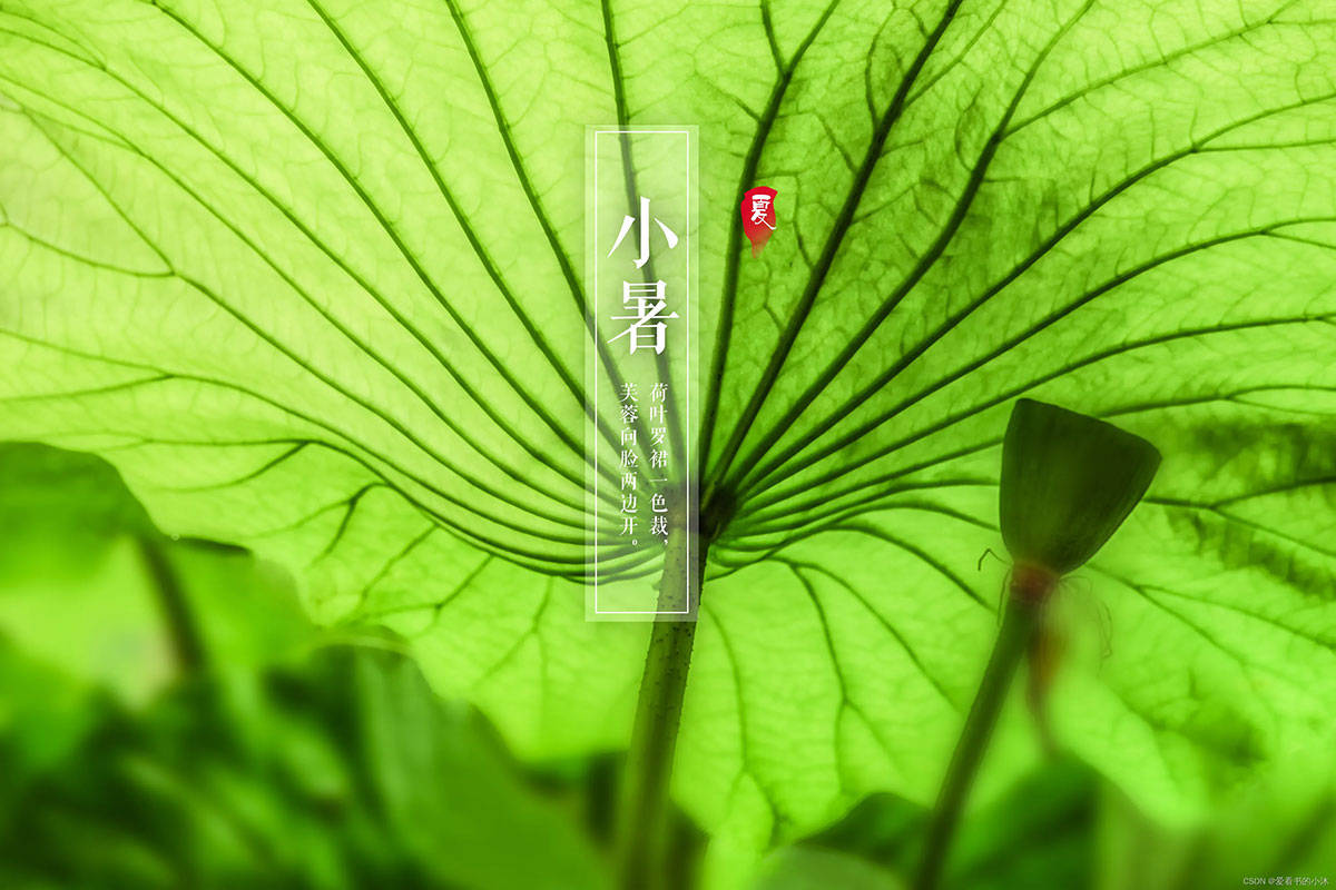 原创            今日小暑，牢记：1不洗，2要藏，3不喝，4多吃，暑热天气要重视，顺时而养，平安入伏