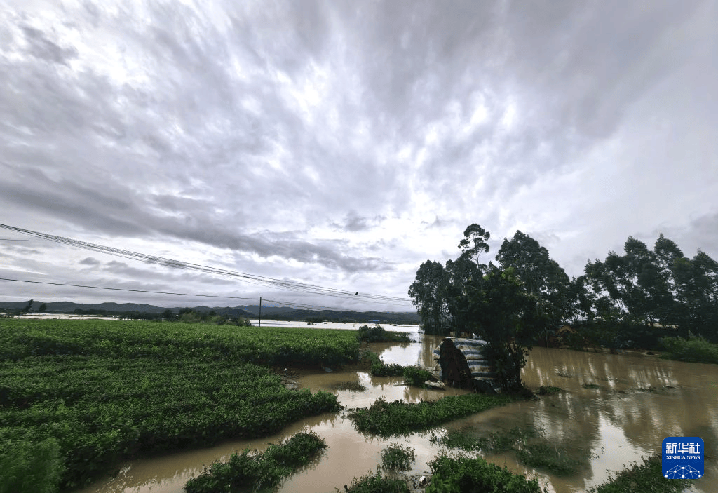 水库下游被淹区域场景