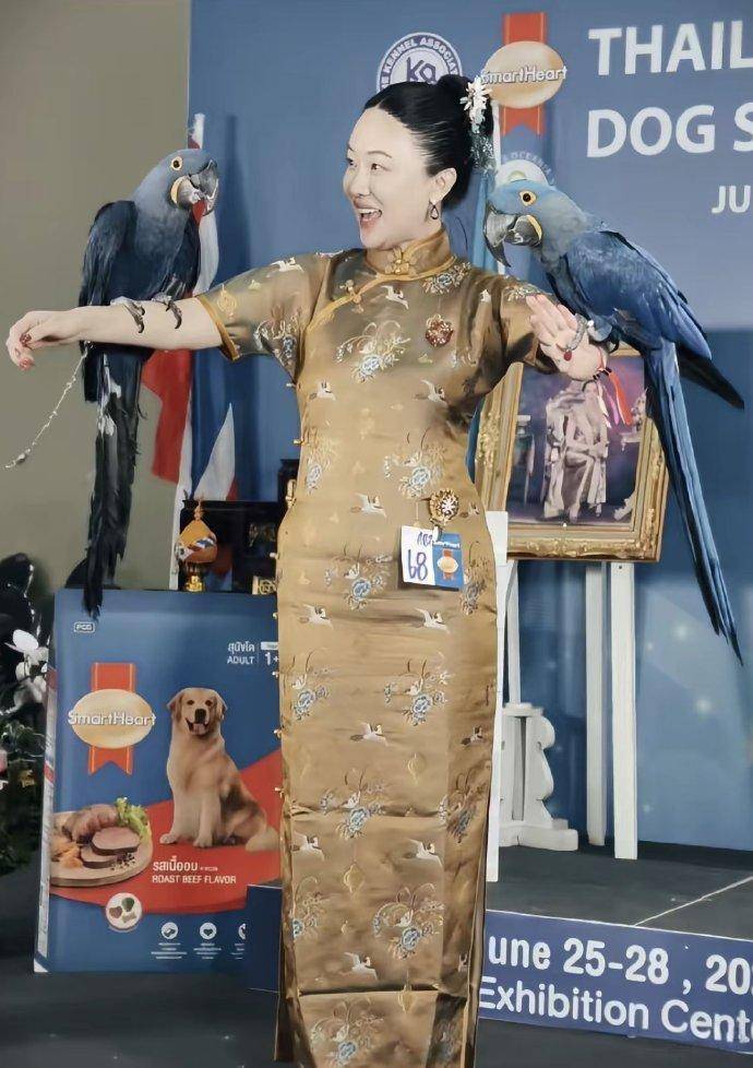 文章配图-1
