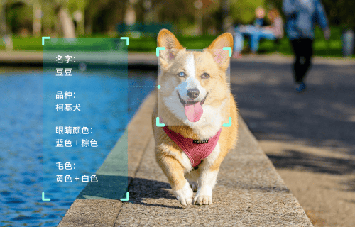 微信图片_2026-07-03_113906_324.png