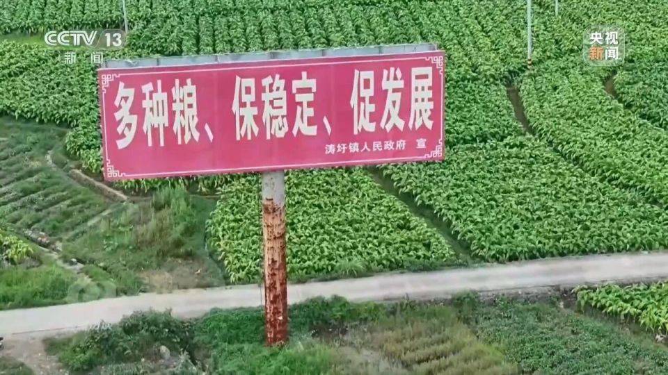 央视曝光湖南江华水稻种植面积造假，上报种植水稻 39 万亩实际仅为约 23.8 万亩，暴露出哪些问题？