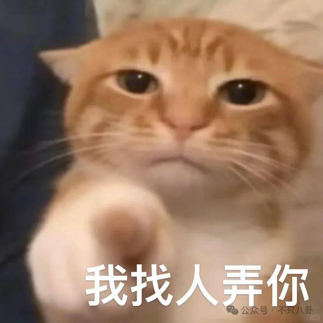 文章配图-2