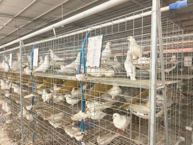 江西于都：青年干部开展跨区域联学共建活动(图3)