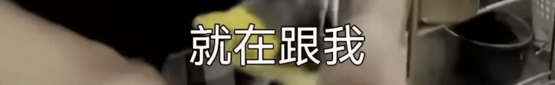 文章配图-2