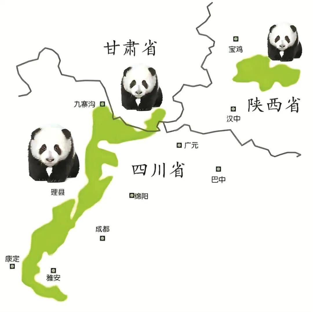 文章配图-2