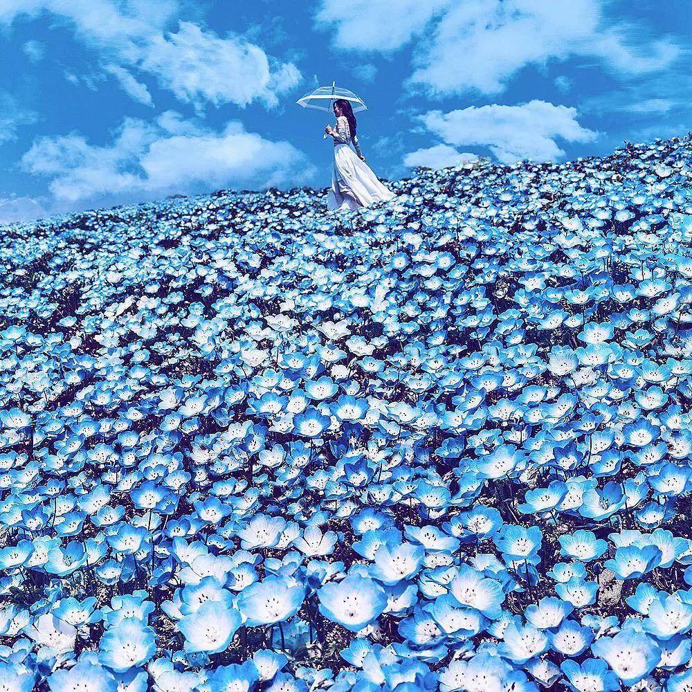 ͼƬ