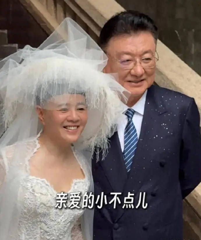 “金龟子”刘纯燕庆祝60岁生日 与丈夫王宁补拍婚纱照_夫妇_董浩_播音