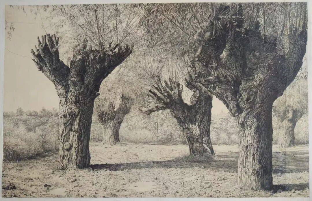 ͼƬ