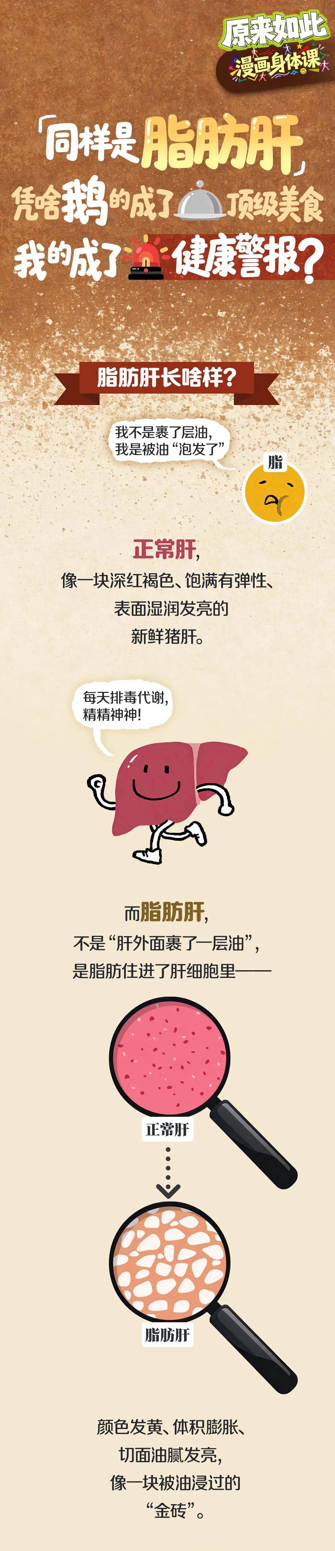 同样是脂肪肝，凭啥鹅的成了顶级美食，我的成了健康警报？